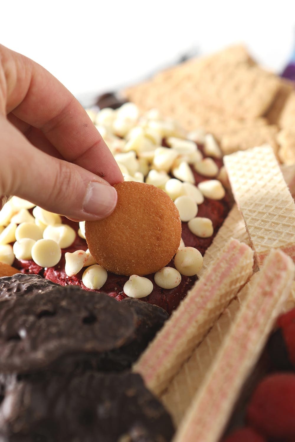 A person dips a wafer cookie into the red velvet cheese ball