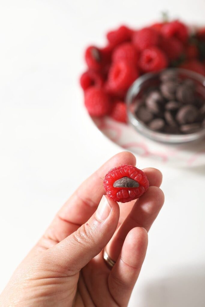 A person holds a raspberry, stuffed with a dark chocolate chip