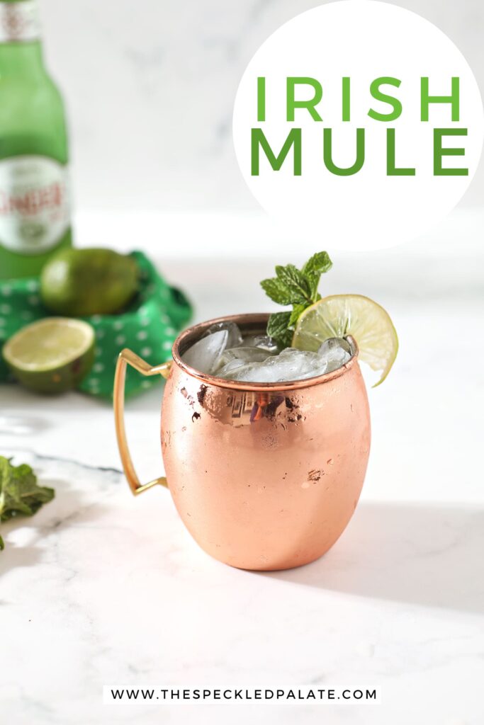 A copper mug holds the mule, surrounded by ingredients and Pinterest text