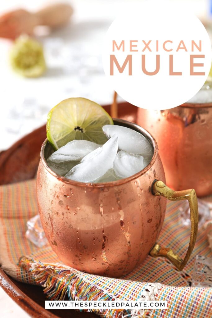 Close up of a brown platter holds two Mexican Mules, with Pinterest text