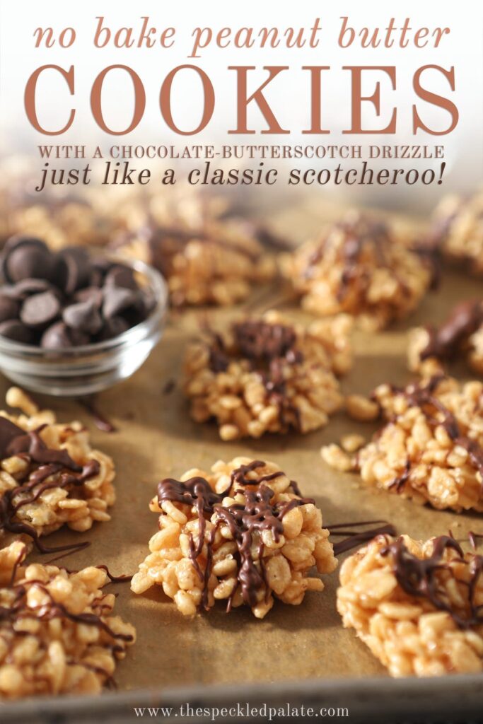 Several Chocolate Peanut Butter No Bake Cookies sit on a baking sheet lined in parchment with bowls of chocolate chips and butterscotch chips with the text "no bake peanut butter cookies with a chocolate butterscotch drizzle just like a classic scotcheroo!"