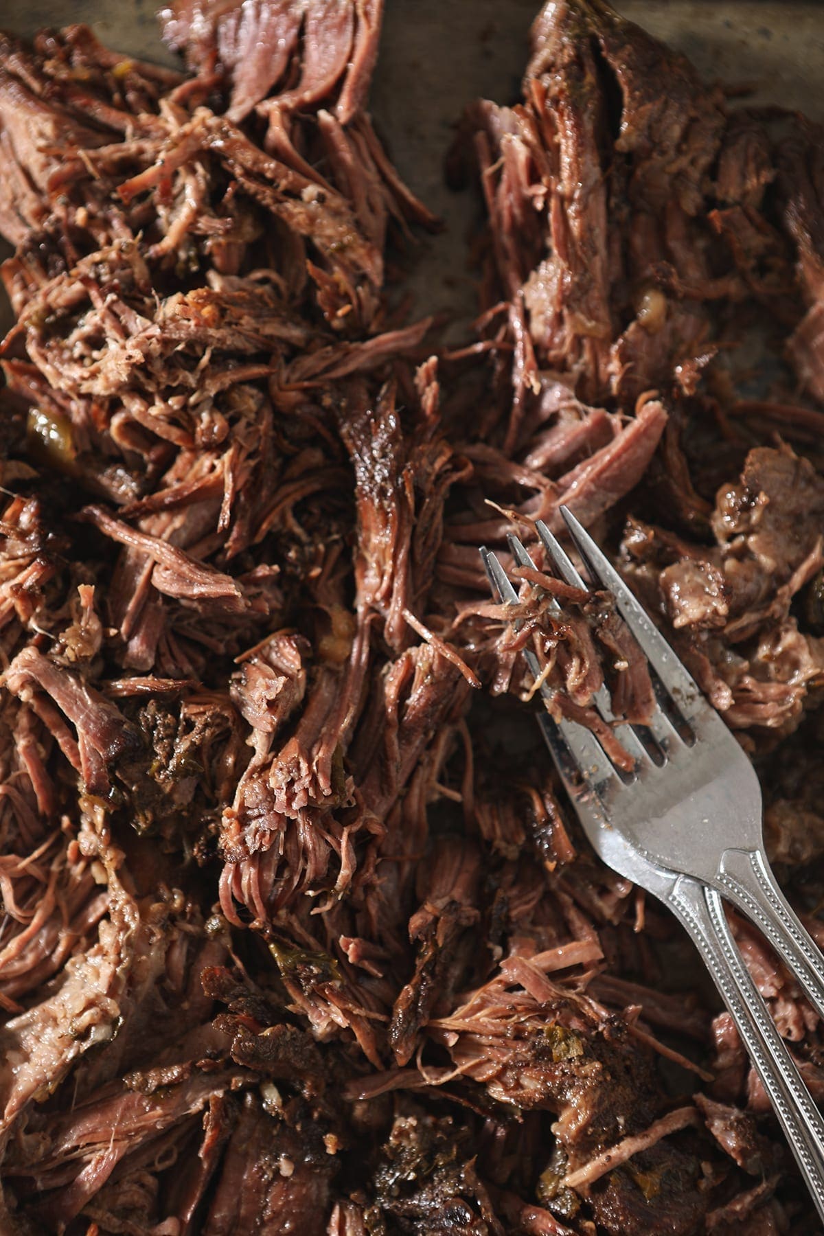 Close up of shredded slow cooker pot roast with forks