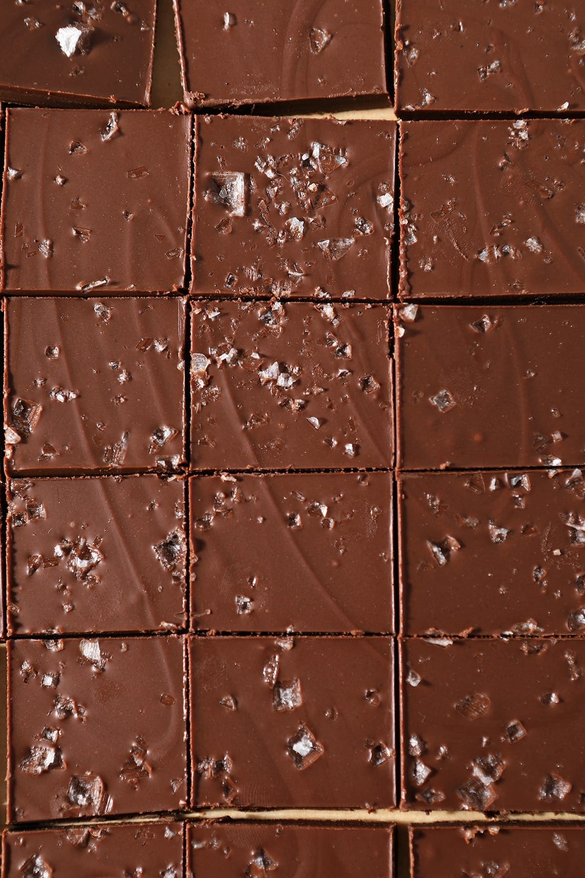 Close up of the Peanut Butter Chocolate Fudge after it's been sliced