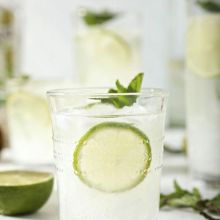 https://www.thespeckledpalate.com/wp-content/uploads/2021/06/The-Speckled-Palate-Mojito-Pitcher-Image-720x720.jpg