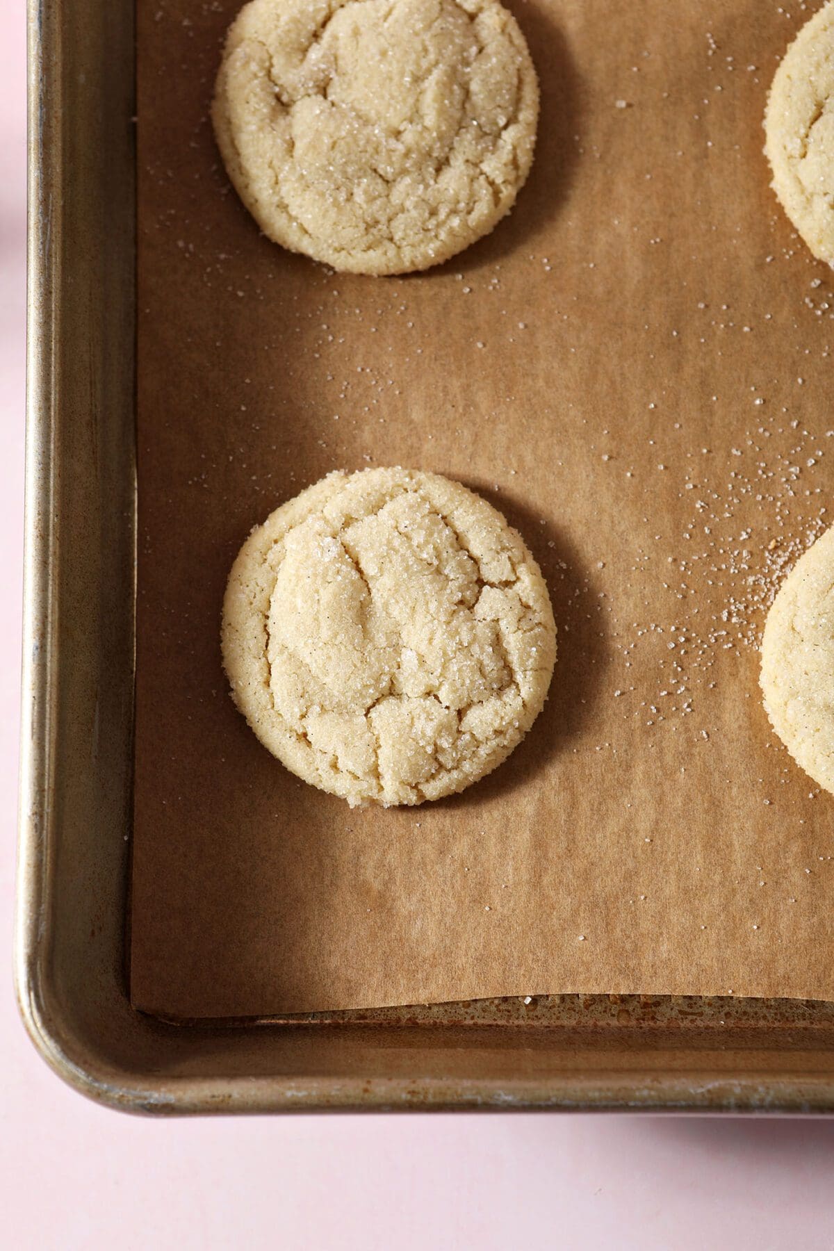 Drop Sugar Cookies on parchment on a baking sheet after baking