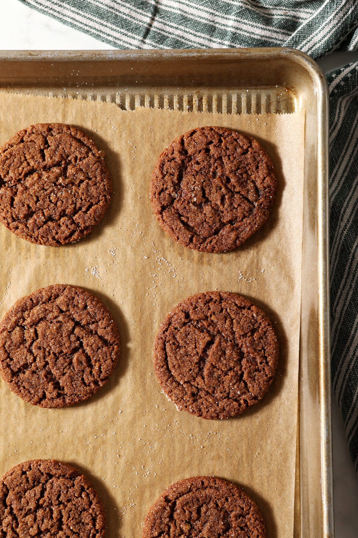 Ginger snap cookies on a sheet pan after baking