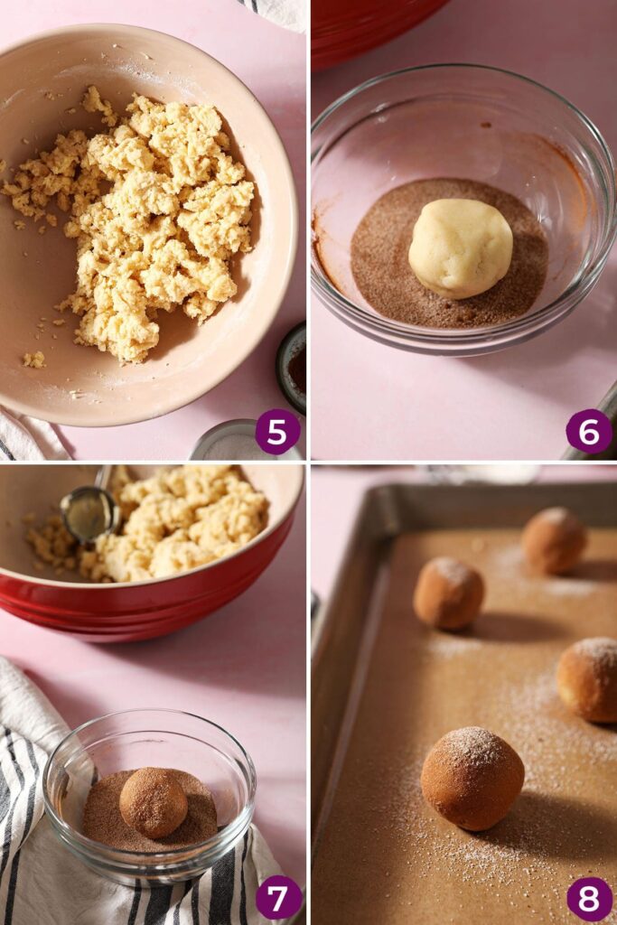 Collage showing how to make and roll snickerdoodle dough in cinnamon sugar before baking