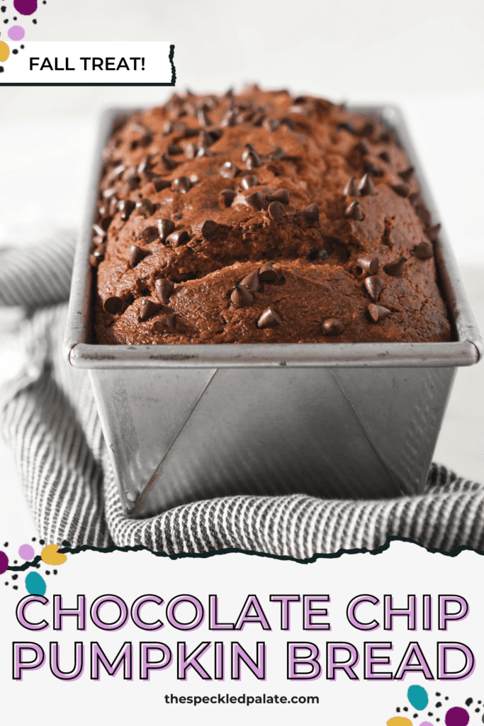 A loaf of pumpkin bread in a metal pan topped with chocolate chips on a gray striped towel with the text 'chocolate chip pumpkin bread'