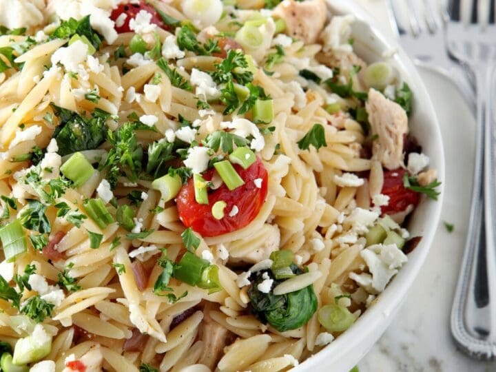 Close up side view of a white bowl of orzo pasta salad with chicken, garnished with green onions and fresh parsley