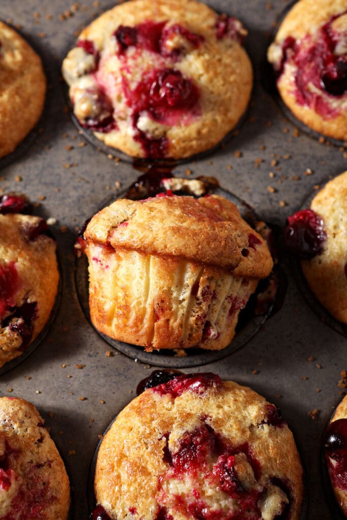 Cranberry muffins in a muffin tin after baking, with one muffin turned on its side