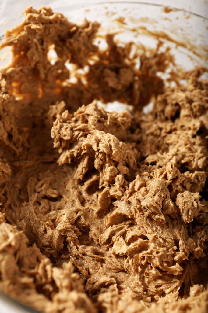 Close up of cinnamon oatmeal cookie dough in a bowl