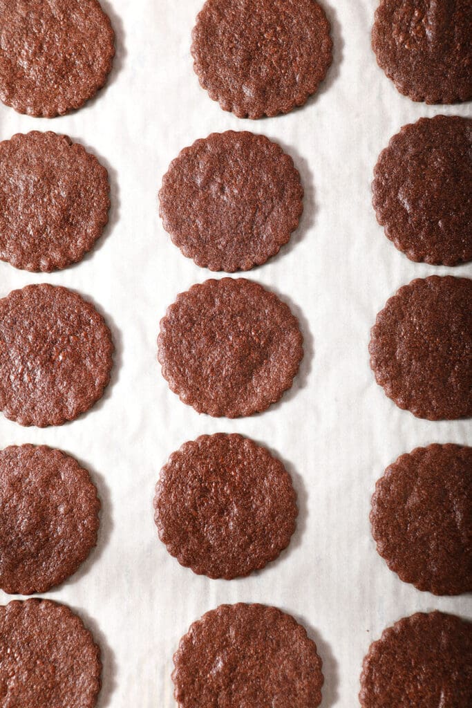 Chocolate Sugar Cookies on a sheet pan after baking