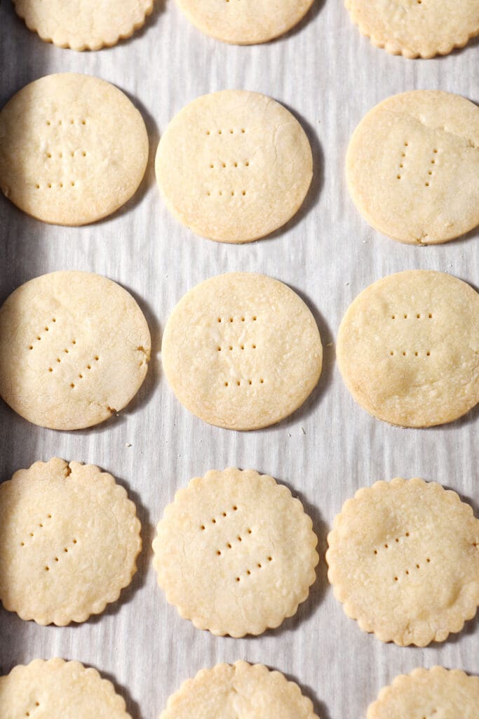 Round shortbread cookies on a sheet pan after baking