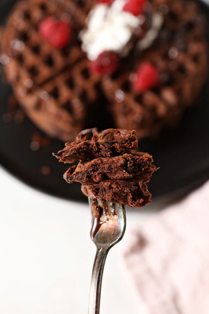 A fork holds bites of a chocolate waffle above a black plate of waffles topped with whipped cream and berries