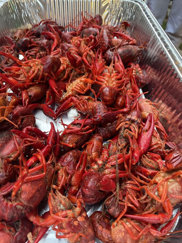 boiled crawfish in a tin before eating