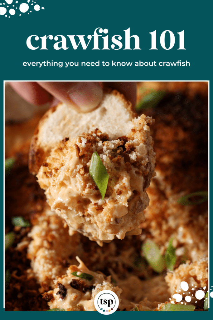 A baguette scoops up crawfish dip with the text crawfish 101 everything you need to know about crawfish