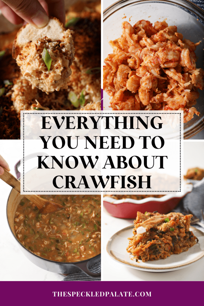 collage of four images with crawfish recipes with the text everything you need to know about crawfish