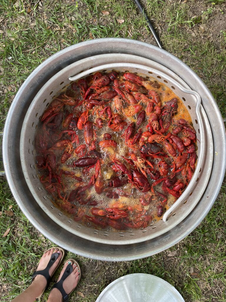 a pot of crawfish from above as it simmers over a propane flame over grass with a pair of feet in the corner of the image