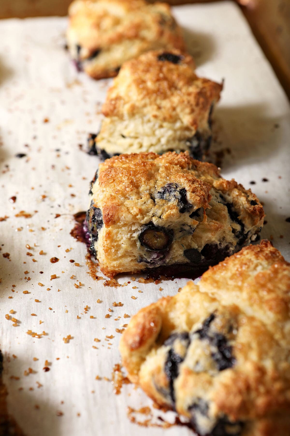 Golden brown blueberry biscuits on a sheet pan after baking