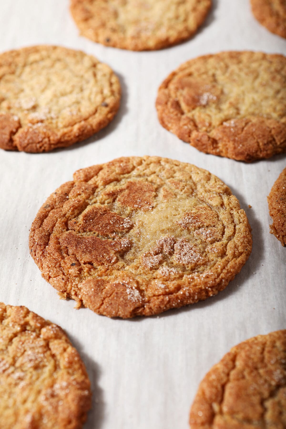 Baked Apple Butter Snickerdoodles on a parchment-lined sheet pan