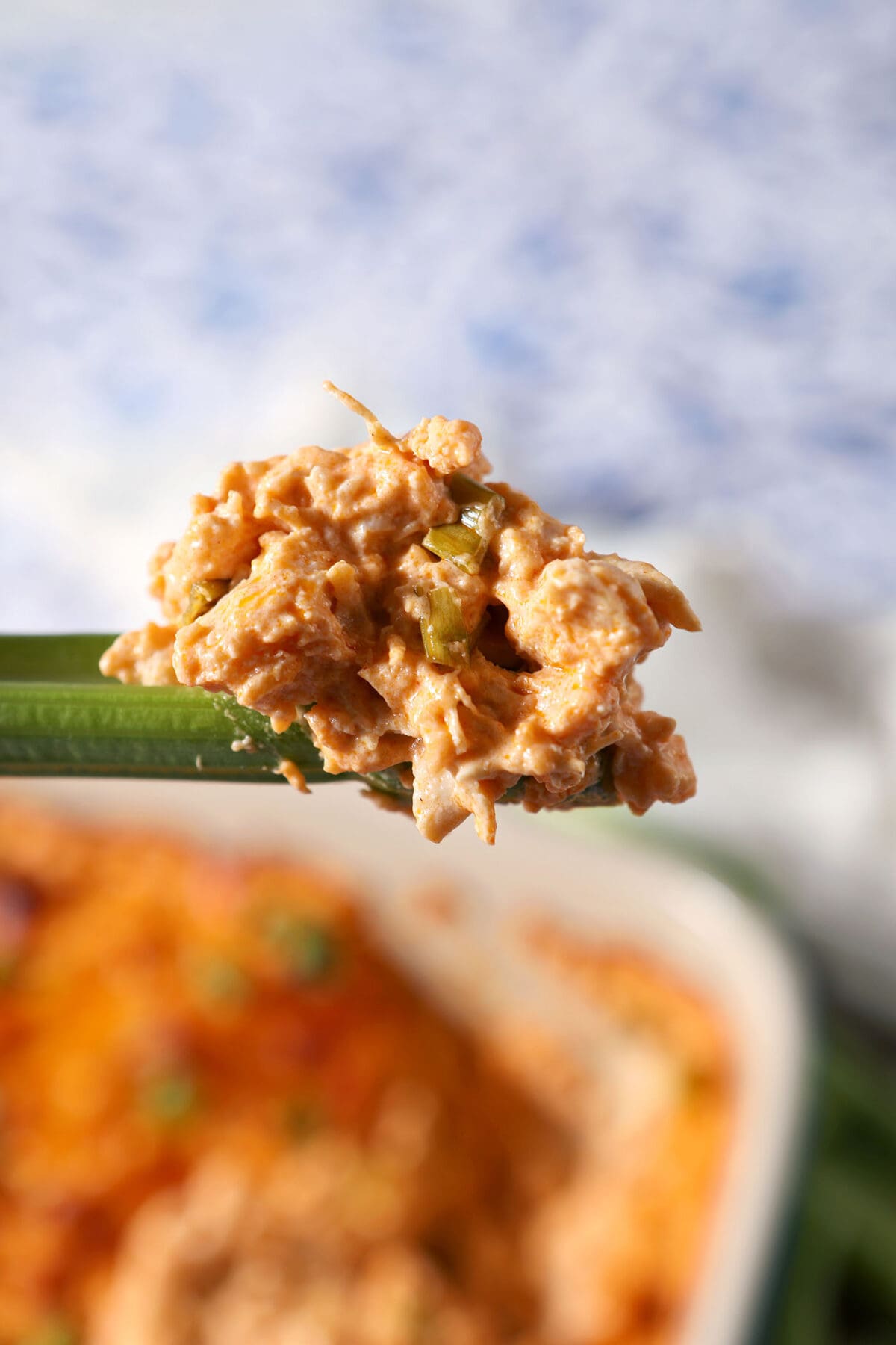 Close up of a celery stick holding a large bite of buffalo chicken dip