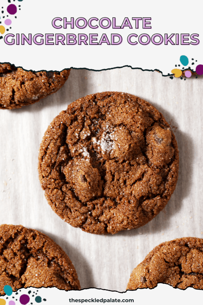 Chocolate Gingerbread Cookies on white parchment paper after baking with the text chocolate gingerbread cookies