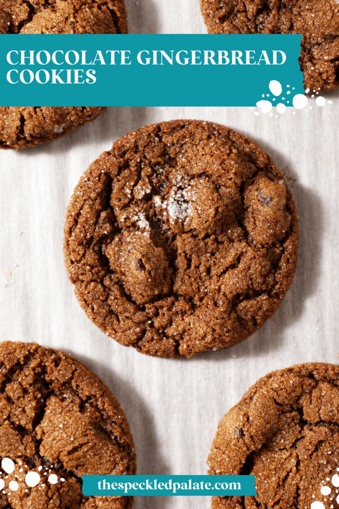 Chocolate Gingerbread Cookies on white parchment paper after baking with the text chocolate gingerbread cookies