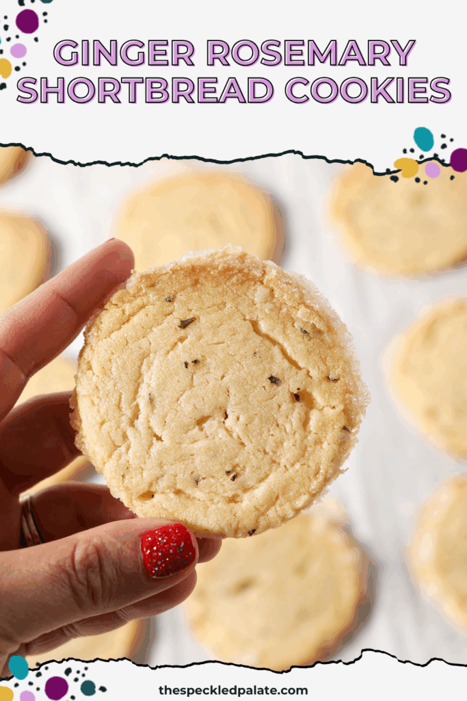 A hand holds a shortbread cookie over a sheet pan of more cookies with the text ginger rosemary shortbread cookies