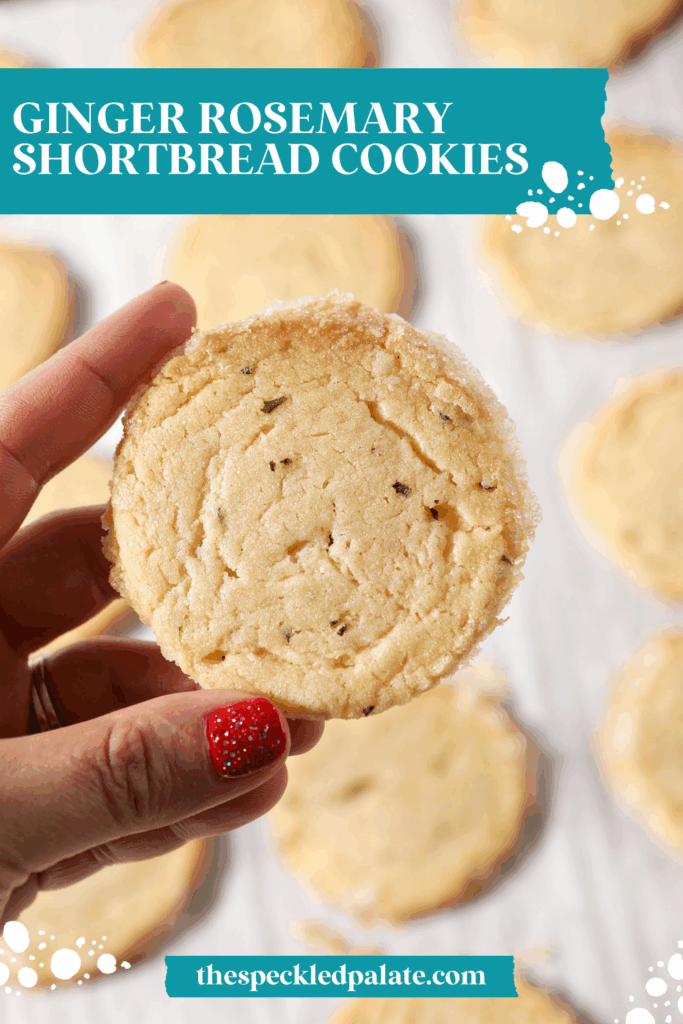 A hand holds a shortbread cookie over a sheet pan of more cookies with the text ginger rosemary shortbread cookies