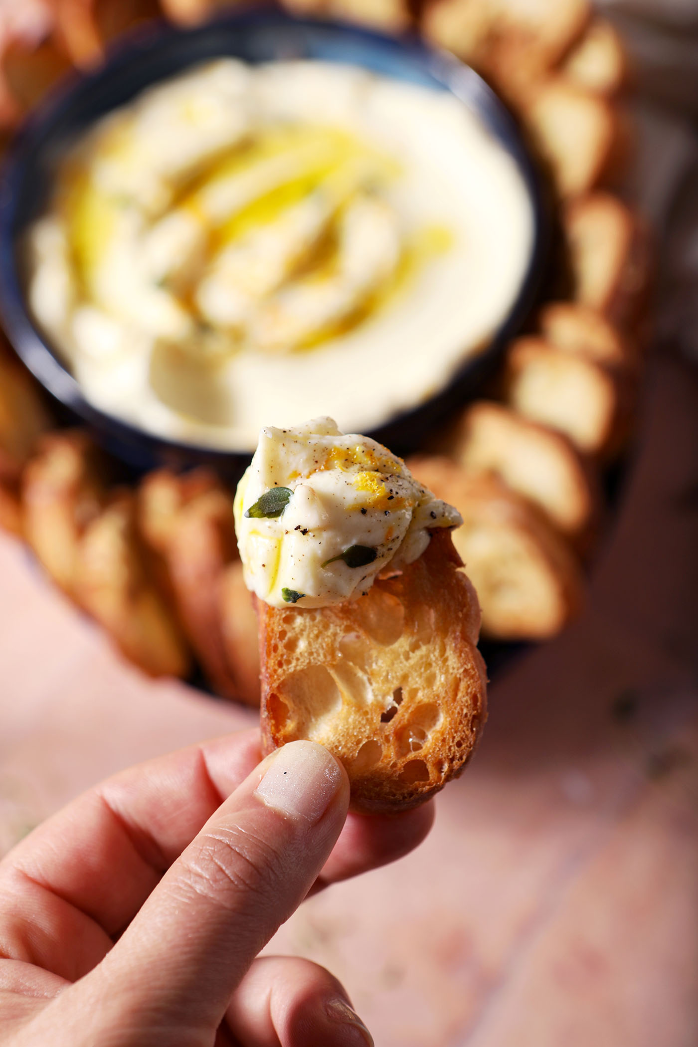 A hand holds a crostini with a little whipped ricotta on the end of it above a platter of the dip and more crostini