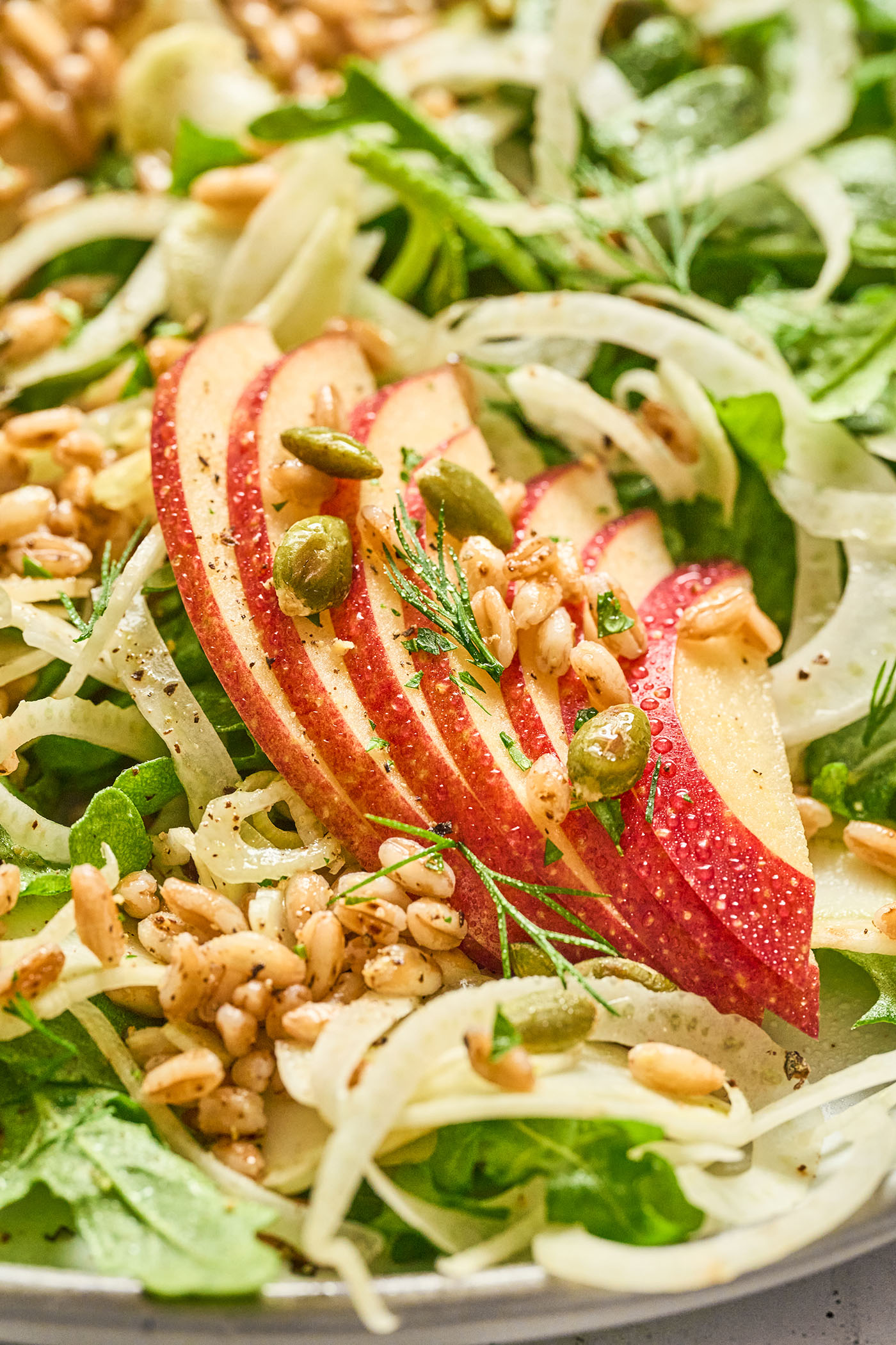 Closeup of sliced apples, topped with pepitas and fennel fronts on top of a salad