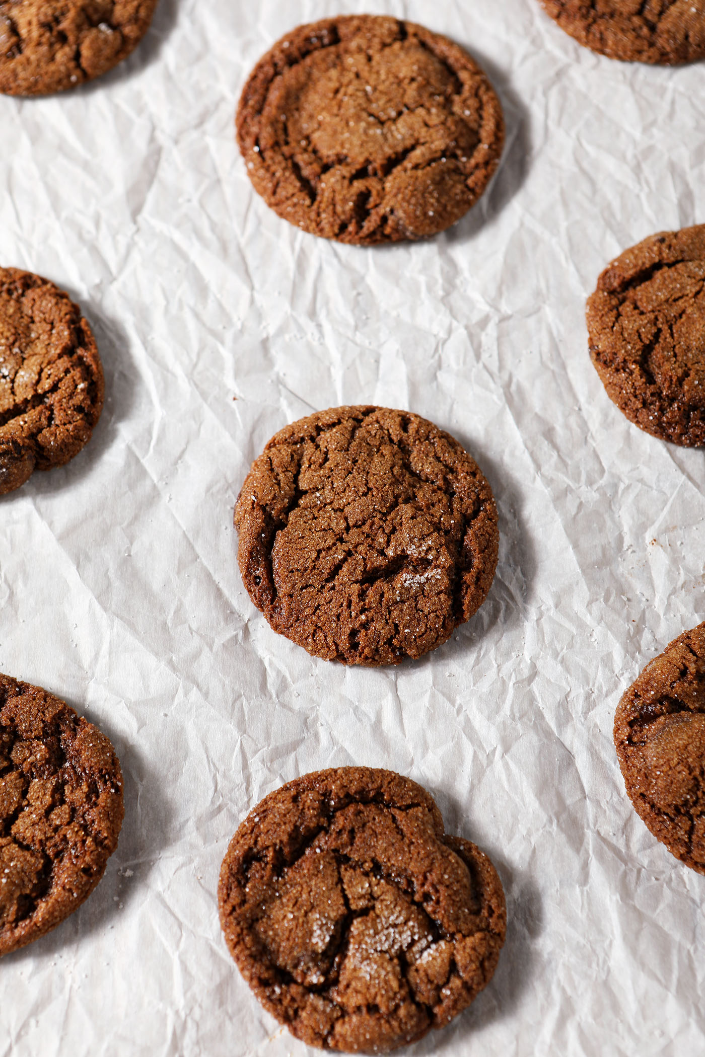 Chocolate gingerbread cookies on parchment paper, after baking