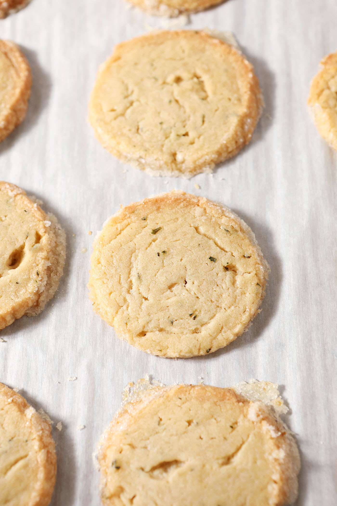 Ginger rosemary shortbread cookies on parchment after baking