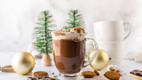 The BEST From-Scratch Gingerbread Hot Chocolate - The Speckled Palate