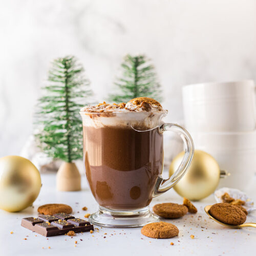 A mug of hot cocoa surrounded by chocolate and gingersnaps, in front of a Christmas setting