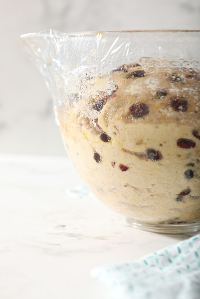 A round of easter bread in a greased bowl, after rising