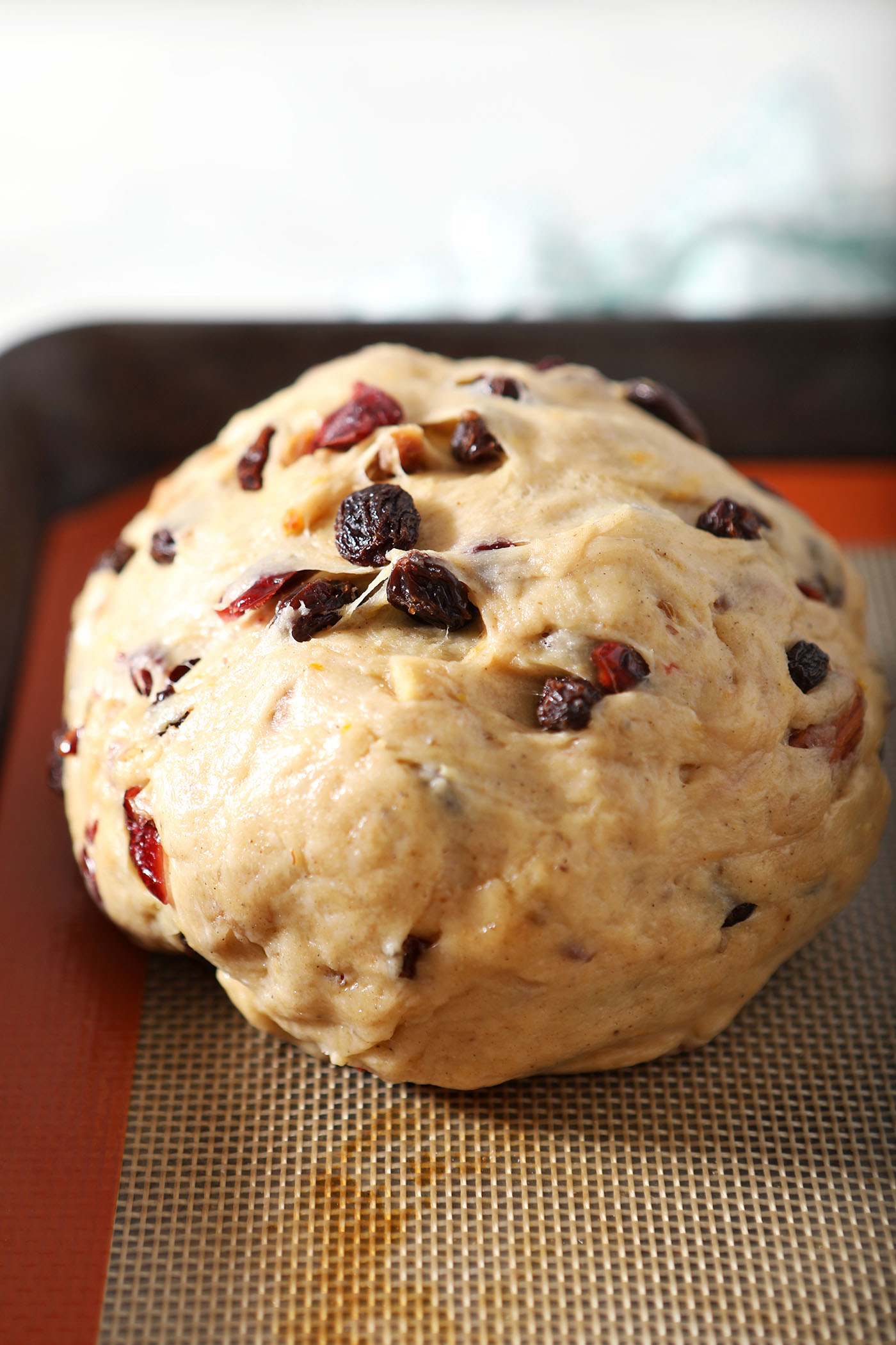 A round of fruit bread on a sheet pan, before rising